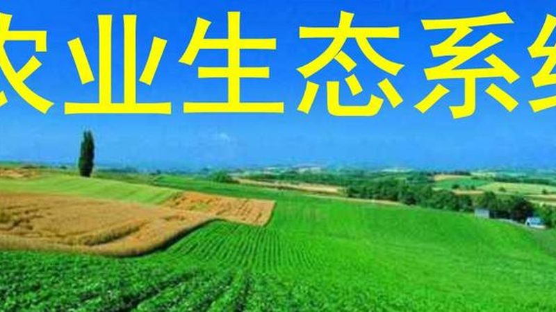 高利润生态养殖：揭秘热门品种及养殖要点