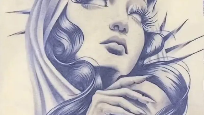 土壤调理剂：如何选择性价比高的产品