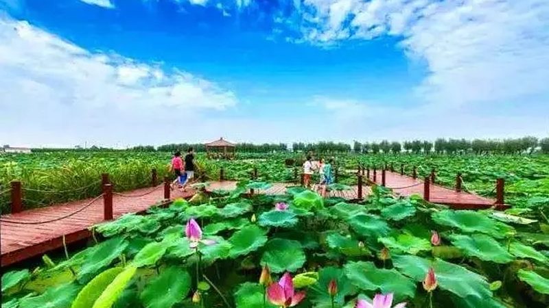农业产业园规划：从零开始的五个关键步骤