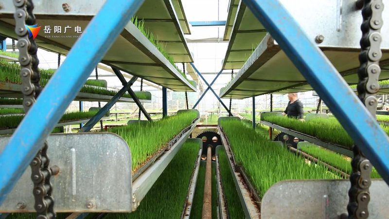 申报材料是农业项目申报的关键，以下列出常见的申报材料：