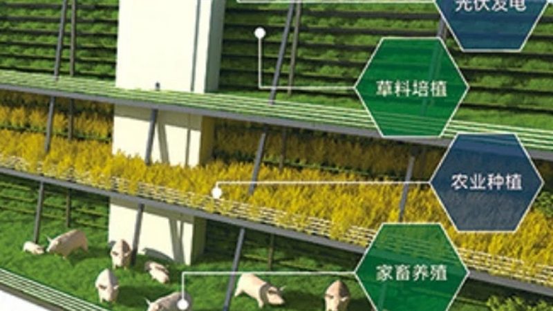 农机合作社分红模式的选择与考量**