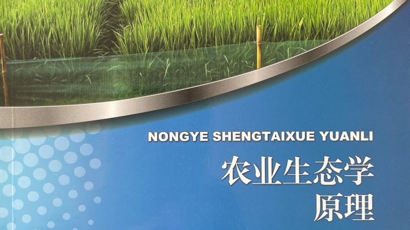 休闲农业品牌策划书哪家好