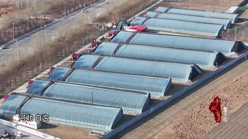 农业种植技术网课平台：课程差异解析