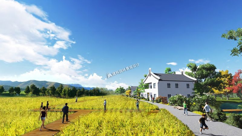 粮食种植厂家直销河北玉米种子批发价