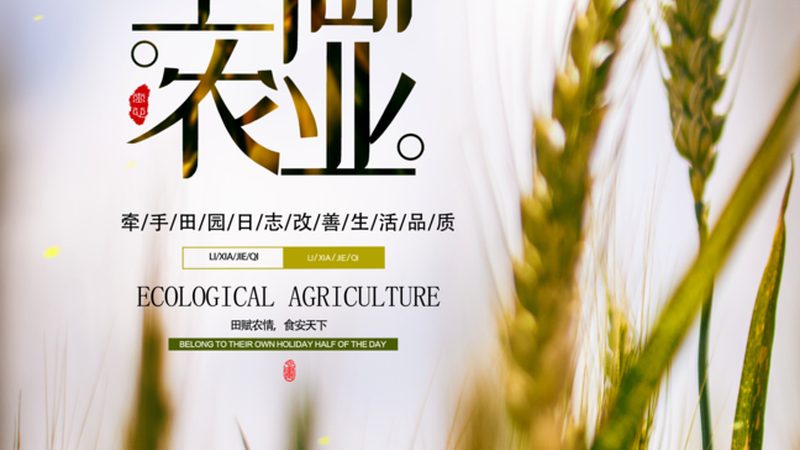 农业自动灌溉系统：揭秘高效灌溉的未来趋势