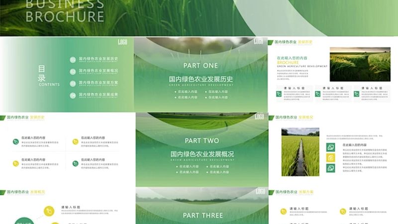 有机蔬菜种子批发：如何把握价格与品质的平衡**